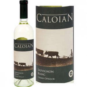 Gama Sauvignon Blanc Caloian 13,5% (alb,sec)